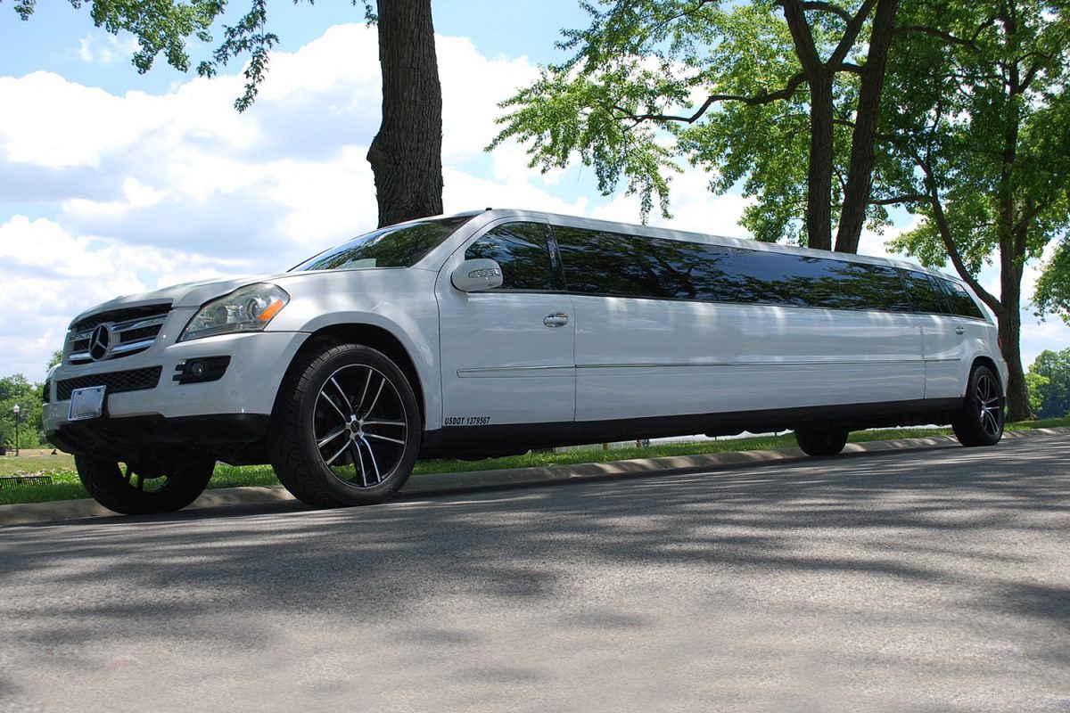 second nature limousine