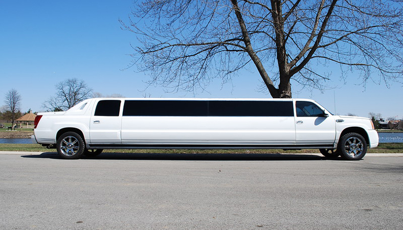 second nature limousine